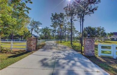 This gorgeous estate in Panther Ridge sits gated on almost 5 on The Concession Golf Club in Florida - for sale on GolfHomes.com, golf home, golf lot