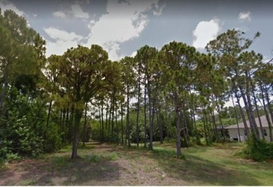 Lot recently semi cleared! Build your *FLORIDA DREAM HOME* on on Rotonda Golf and Country Club - Long Marsh  in Florida - for sale on GolfHomes.com, golf home, golf lot