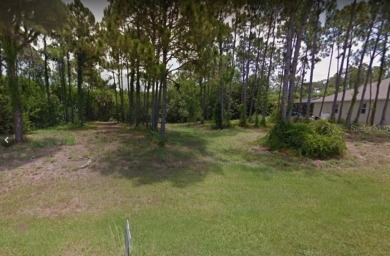 Lot recently semi cleared! Build your *FLORIDA DREAM HOME* on on Rotonda Golf and Country Club - Long Marsh  in Florida - for sale on GolfHomes.com, golf home, golf lot