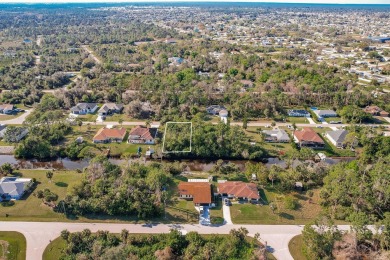 Discover the perfect canvas for your dream home! This waterfront on Sabal Trace Golf and Country Club in Florida - for sale on GolfHomes.com, golf home, golf lot