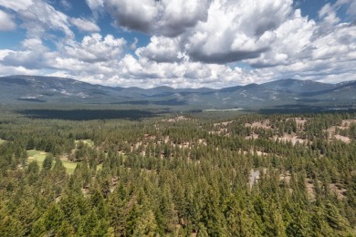 DISCOVER THIS PREMIUM MOUNTAIN TOP HOMESITE SURROUNDED BY THE on Nakoma Golf Resort in California - for sale on GolfHomes.com, golf home, golf lot