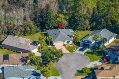 A cozy 3-bedroom home on a private conservation lot at the end on Tampa Bay Golf and Country Club in Florida - for sale on GolfHomes.com, golf home, golf lot