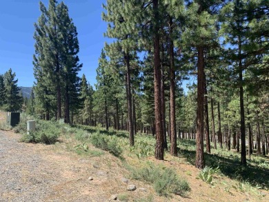 Gorgeous Grizzly Ranch residential lot offers wonderful privacy on Grizzly Ranch Golf Club in California - for sale on GolfHomes.com, golf home, golf lot
