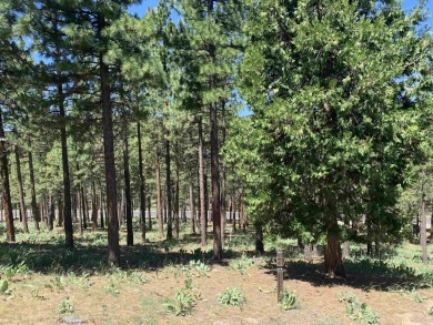 Gorgeous Grizzly Ranch residential lot offers wonderful privacy on Grizzly Ranch Golf Club in California - for sale on GolfHomes.com, golf home, golf lot