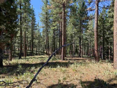 Secluded residential lot offers greenbelt and mountain views on on Grizzly Ranch Golf Club in California - for sale on GolfHomes.com, golf home, golf lot