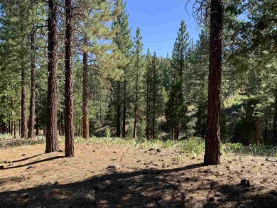 Secluded Grizzly Ranch residential lot offers wonderful privacy on Grizzly Ranch Golf Club in California - for sale on GolfHomes.com, golf home, golf lot