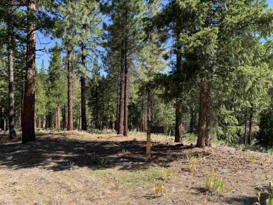 Secluded Grizzly Ranch residential lot offers wonderful privacy on Grizzly Ranch Golf Club in California - for sale on GolfHomes.com, golf home, golf lot