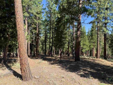 Secluded Grizzly Ranch residential lot offers wonderful privacy on Grizzly Ranch Golf Club in California - for sale on GolfHomes.com, golf home, golf lot