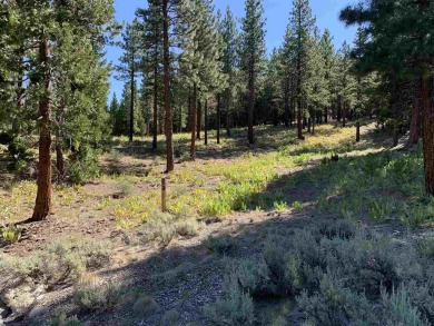 Beautiful Grizzly Ranch residential lot offers wonderful privacy on Grizzly Ranch Golf Club in California - for sale on GolfHomes.com, golf home, golf lot