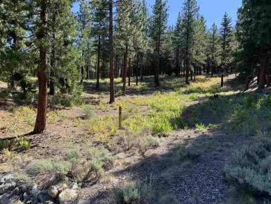 Beautiful Grizzly Ranch residential lot offers wonderful privacy on Grizzly Ranch Golf Club in California - for sale on GolfHomes.com, golf home, golf lot