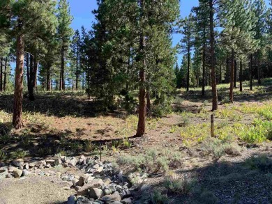 Beautiful Grizzly Ranch residential lot offers wonderful privacy on Grizzly Ranch Golf Club in California - for sale on GolfHomes.com, golf home, golf lot