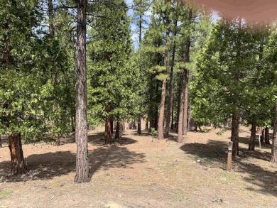 Beautiful residential lot with forested, greenbelt setting at on Grizzly Ranch Golf Club in California - for sale on GolfHomes.com, golf home, golf lot