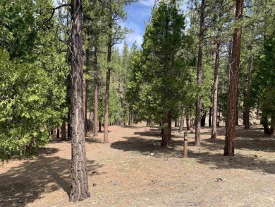 Beautiful residential lot with forested, greenbelt setting at on Grizzly Ranch Golf Club in California - for sale on GolfHomes.com, golf home, golf lot