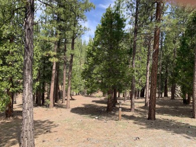 Beautiful residential lot with forested, greenbelt setting at on Grizzly Ranch Golf Club in California - for sale on GolfHomes.com, golf home, golf lot