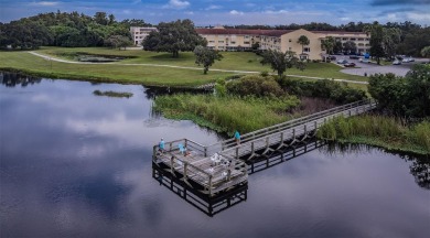 Under contract-accepting backup offers. Fully furnished LAKE on On Top Of The World Golf Course in Florida - for sale on GolfHomes.com, golf home, golf lot