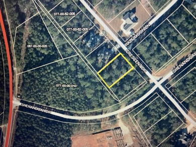 Reduced Price!!! Awesome opportunity to purchase a flat lot at a on Monticello Golf Club At Savannah Lakes in South Carolina - for sale on GolfHomes.com, golf home, golf lot