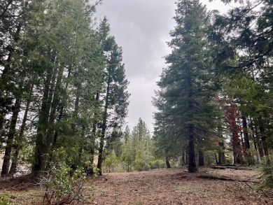 KEEP YOUR HEAD IN THE CLOUDS ON THIS DREAMY HOMESITE AT NAKOMA on Nakoma Golf Resort in California - for sale on GolfHomes.com, golf home, golf lot