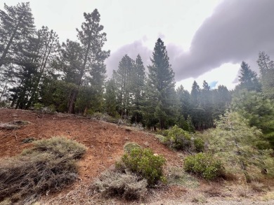 KEEP YOUR HEAD IN THE CLOUDS ON THIS DREAMY HOMESITE AT NAKOMA on Nakoma Golf Resort in California - for sale on GolfHomes.com, golf home, golf lot