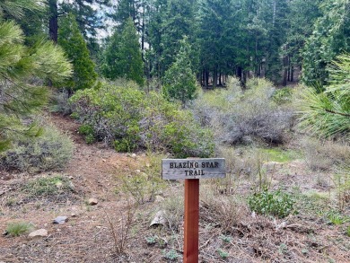 KEEP YOUR HEAD IN THE CLOUDS ON THIS DREAMY HOMESITE AT NAKOMA on Nakoma Golf Resort in California - for sale on GolfHomes.com, golf home, golf lot