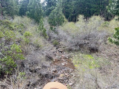 KEEP YOUR HEAD IN THE CLOUDS ON THIS DREAMY HOMESITE AT NAKOMA on Nakoma Golf Resort in California - for sale on GolfHomes.com, golf home, golf lot