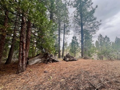 KEEP YOUR HEAD IN THE CLOUDS ON THIS DREAMY HOMESITE AT NAKOMA on Nakoma Golf Resort in California - for sale on GolfHomes.com, golf home, golf lot