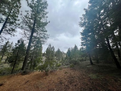 KEEP YOUR HEAD IN THE CLOUDS ON THIS DREAMY HOMESITE AT NAKOMA on Nakoma Golf Resort in California - for sale on GolfHomes.com, golf home, golf lot