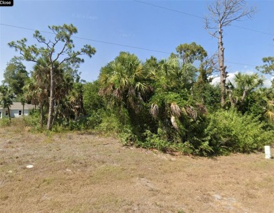 Build your Florida dream home on this fantastic oversized parcel on Rotonda Golf and Country Club - Long Marsh  in Florida - for sale on GolfHomes.com, golf home, golf lot