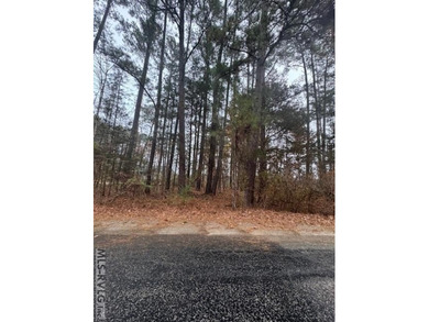 Tanglewood Shores offers swimming, boating, with day slips and on Tanglewood Shores Golf Club in Virginia - for sale on GolfHomes.com, golf home, golf lot