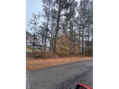 Tanglewood Shores offers swimming, boating, with day slips and on Tanglewood Shores Golf Club in Virginia - for sale on GolfHomes.com, golf home, golf lot