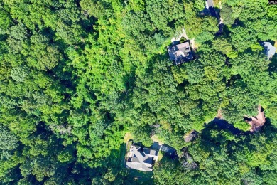 Elevated Elegance in a Private Estate Setting Welcome to an on The Cliffs at Glassy Golf and Country Club in South Carolina - for sale on GolfHomes.com, golf home, golf lot