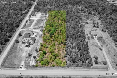 Prime UPLANDS, HIGH AND DRY 2.34-acre eastern-facing lot in on The Club At Twin Eagles in Florida - for sale on GolfHomes.com, golf home, golf lot