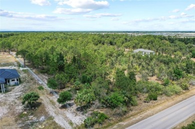 Prime UPLANDS, HIGH AND DRY 2.34-acre eastern-facing lot in on The Club At Twin Eagles in Florida - for sale on GolfHomes.com, golf home, golf lot