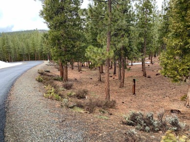 This +/- .60 Ac lot has a slight down slope with possible on Grizzly Ranch Golf Club in California - for sale on GolfHomes.com, golf home, golf lot