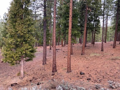 This +/- .60 Ac lot has a slight down slope with possible on Grizzly Ranch Golf Club in California - for sale on GolfHomes.com, golf home, golf lot