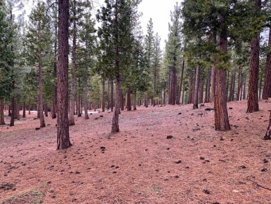 This +/- .60 Ac lot has a slight down slope with possible on Grizzly Ranch Golf Club in California - for sale on GolfHomes.com, golf home, golf lot