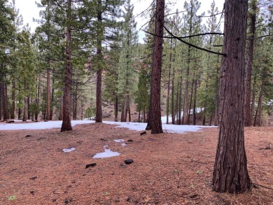 This +/- .60 Ac lot has a slight down slope with possible on Grizzly Ranch Golf Club in California - for sale on GolfHomes.com, golf home, golf lot