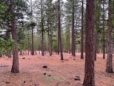 This +/- .60 Ac lot has a slight down slope with possible on Grizzly Ranch Golf Club in California - for sale on GolfHomes.com, golf home, golf lot