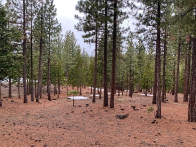 This +/- .60 Ac lot has a slight down slope with possible on Grizzly Ranch Golf Club in California - for sale on GolfHomes.com, golf home, golf lot