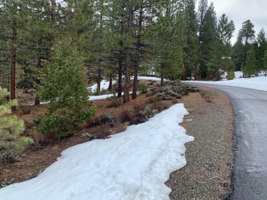 This +/- .72 Ac lot is located at the southern portion of the on Grizzly Ranch Golf Club in California - for sale on GolfHomes.com, golf home, golf lot