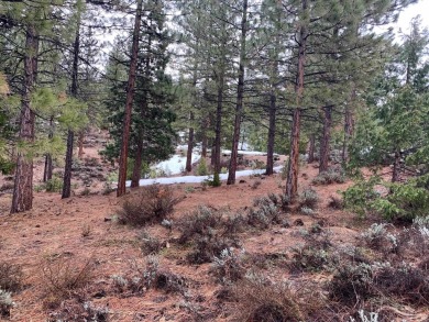 This +/- .72 Ac lot is located at the southern portion of the on Grizzly Ranch Golf Club in California - for sale on GolfHomes.com, golf home, golf lot