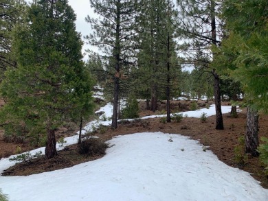 This +/- .72 Ac lot is located at the southern portion of the on Grizzly Ranch Golf Club in California - for sale on GolfHomes.com, golf home, golf lot