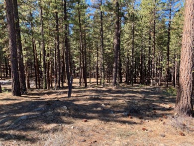 Down sloping +/- 1.28 Ac lot in the southern end of the Grizzly on Grizzly Ranch Golf Club in California - for sale on GolfHomes.com, golf home, golf lot