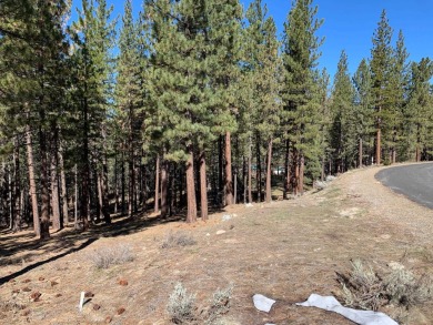 Down sloping +/- 1.28 Ac lot in the southern end of the Grizzly on Grizzly Ranch Golf Club in California - for sale on GolfHomes.com, golf home, golf lot