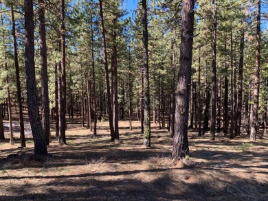 Down sloping +/- 1.28 Ac lot in the southern end of the Grizzly on Grizzly Ranch Golf Club in California - for sale on GolfHomes.com, golf home, golf lot