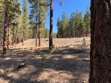 Down sloping +/- 1.28 Ac lot in the southern end of the Grizzly on Grizzly Ranch Golf Club in California - for sale on GolfHomes.com, golf home, golf lot