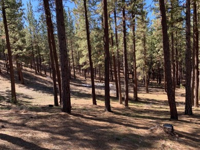 Down sloping +/- 1.28 Ac lot in the southern end of the Grizzly on Grizzly Ranch Golf Club in California - for sale on GolfHomes.com, golf home, golf lot