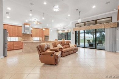 Welcome to your dream home - a stunning custom-designed property on Skyview At Terra Vista Golf and Country Club in Florida - for sale on GolfHomes.com, golf home, golf lot