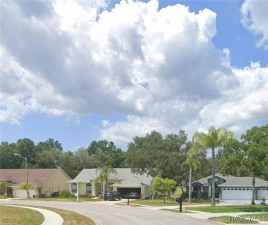 ONE of the ONLY vacant lots available in the sought-after Meadow on Meadow Oaks Golf and Country Club in Florida - for sale on GolfHomes.com, golf home, golf lot