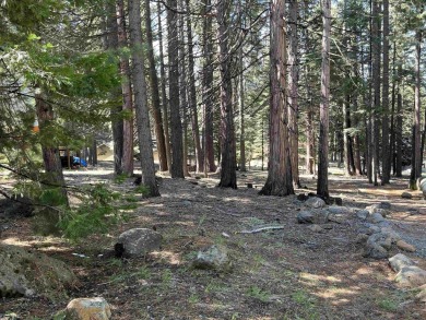 Great lot in the heart of the Lake Almanor Country Club. LACC on Lake Almanor Country Club in California - for sale on GolfHomes.com, golf home, golf lot