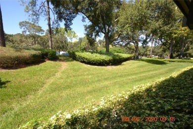 Under contract-accepting backup offers. Deluxe Executive on Innisbrook Resort and Golf Club in Florida - for sale on GolfHomes.com, golf home, golf lot